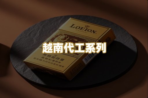 越南代工系列